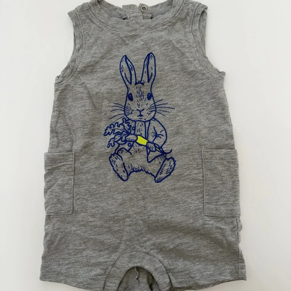 GAP x Peter Rabbit Romper - Picture 1 of 4